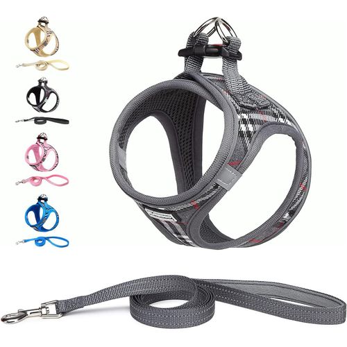 Jgd-Harnais Chien Et Laisse - Respirant - Réfléchissant - Step-In Harnais Pour Chiens, Gilet Rembourré Confort Mesh Doux Pour Petite Chiens Chats Pour Marcher, Courir (Gris, Xxs)