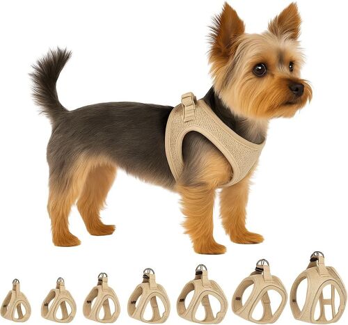 Kalanka-Flamingo Harnais Pour Chien Step&go Bento Beige Xs - A:28-30cm B:30-32cm X 3mm - Réglable Avec Bandes Réfléchissantes ¿ Idéal Pour Pomeranian, Yorkshire, Papillon & Terrier Toy