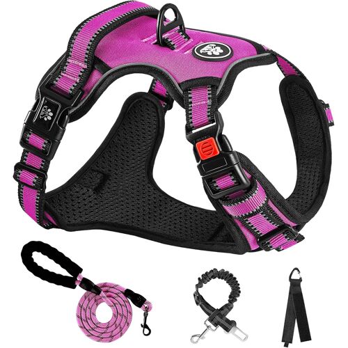 Anti-Pull Vest Harness And Lead For Large Dogs, Rose Red Size L Arnet For Dogs, Neck 38-48 Cm, Chest 48-74 Cm, Collars, Harness And Leads For Dogs, Dog Accessory