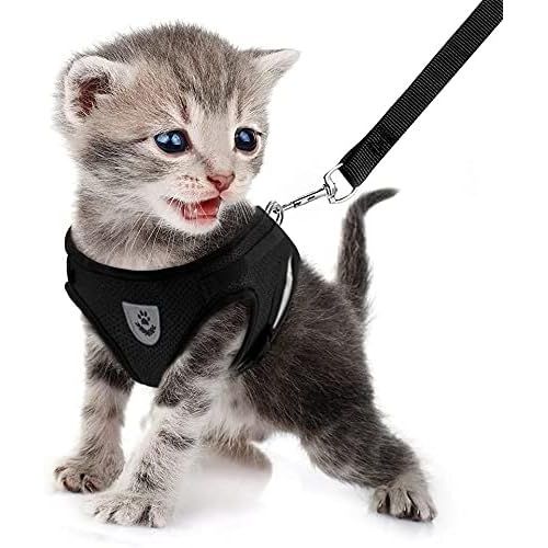 Jgd-Harnais Chat Et Laisse, Harnais Chaton Chiot Anti Évasion Réglable Réfléchissant Gilet En Maille Respirant Souple Pour Petits Chiens Et Chats