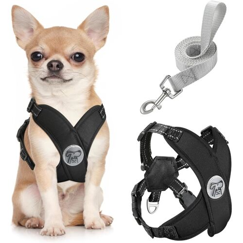 Kalanka-Harnais Pour Chiens Avec Laisse, Harnais Sécurisé Anti-Traction En Forme De X, Veste Pour Chiens De Petite & Moyenne Taille, Ceinture De Sécurité D'animaux Réglable Pour Promenade, S - Noir