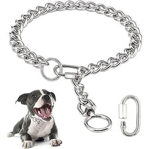Jgd-Collier Pour Chien En Chaîne - En Acier Inoxydable - Avec Fermoir De Connexion - Pour Chiens De Petite, Moyenne Et Grande Taille (M, A)