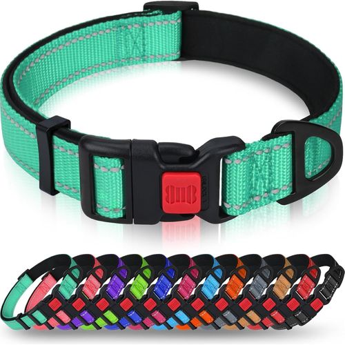 Jgd-Taglory Collier Pour Chien, Collier En Nylon Réfléchissant Réglable Classique Avec Rembourré Doux Respirant Mesh Pour Moyens Chiens, M, Turquoise