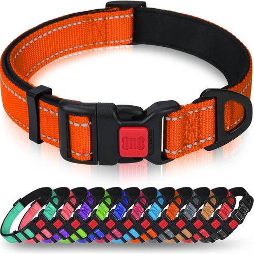 Jgd-Taglory Collier Pour Chien, Collier En Nylon Réfléchissant Réglable Classique Avec Rembourré Doux Respirant Mesh Pour Petits Chiens, S, Orange