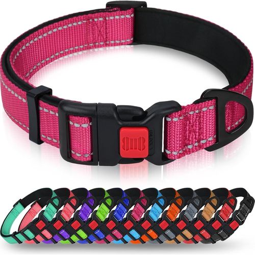 Jgd-Taglory Collier Pour Chien, Collier En Nylon Réfléchissant Réglable Classique Avec Rembourré Doux Respirant Mesh Pour Petits Chiens, S, Rose Vif