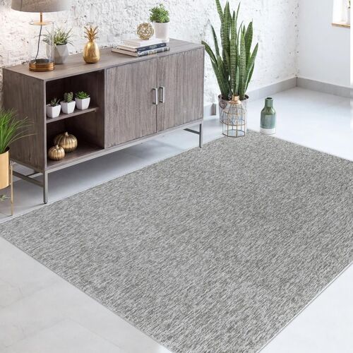 Tapis Salon 120x170 Sakrda Argent