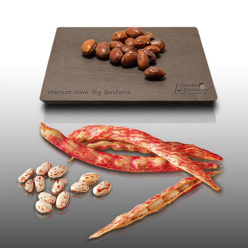75 Grammes De Graines À Semer - Le Grenier D'abondance - Haricot Nain Big Baldoria - Phaseolus Vulgaris