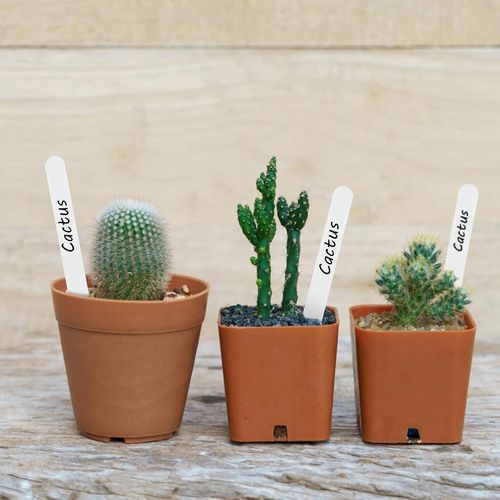 Asfasfq-100 Pièces 12cm Etiquette Pour Plante, Suspendable Etiquettes Jardin Exterieur,Etiquettes Semis Réutilisable,Etiquette Plantation Potager-Blanc