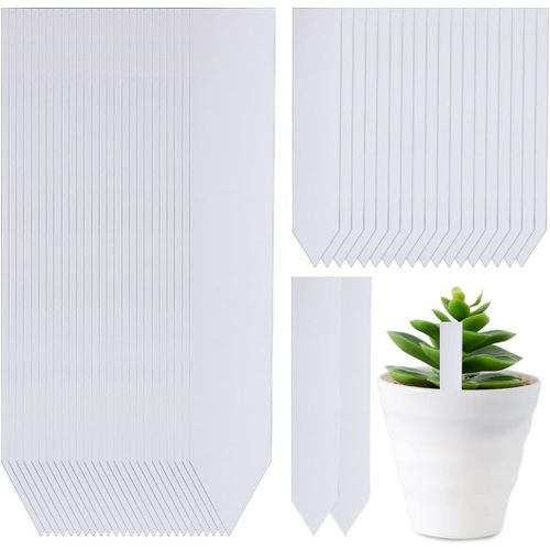 Asfasfq-200 Pièces Étiquettes En Plastique Pour Plantes, Étiquettes De Jardin En Plastique Blanc(10 X 2 Cm/5 X 1 Cm)
