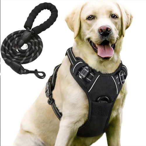 Harnais Avec Laisse Pour Chien, Respirant Réglable Anti Traction Réfléchissant Robuste - Noir Xl - Efconnection