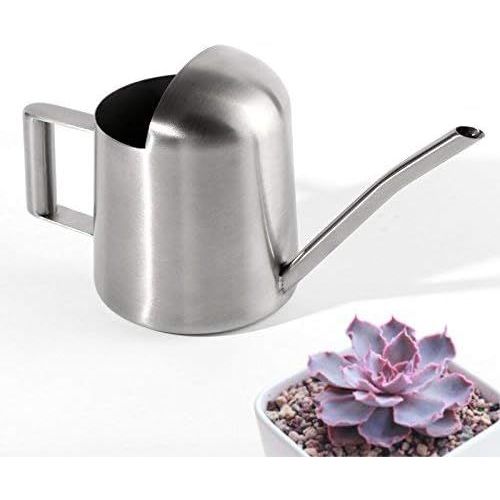 CHECARZHN--NO1-Mini Arrosoir De Jardin En Acier Inoxydable Pour La Maison Et Bureau Plantes
