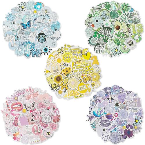 250 Pcs Autocollants Graffiti, Vinyle Stickers Pour Skateboard, Moto, Ordinateur, Vélo, Bagages