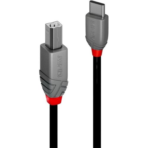 Câble USB 2.0 Type C vers B, Anthra Line, 2m