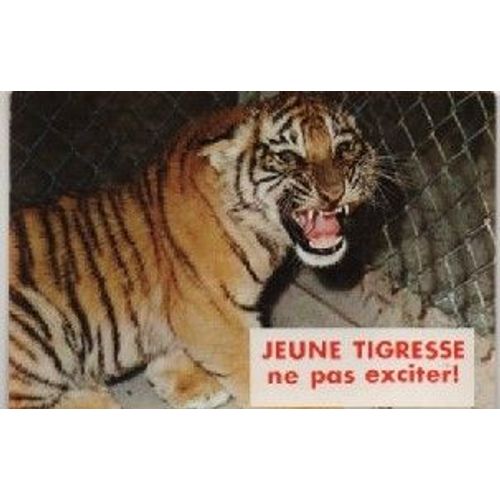 Carte Postale Théme Humour - Jeune Tigresse - Ne Pas Exciter