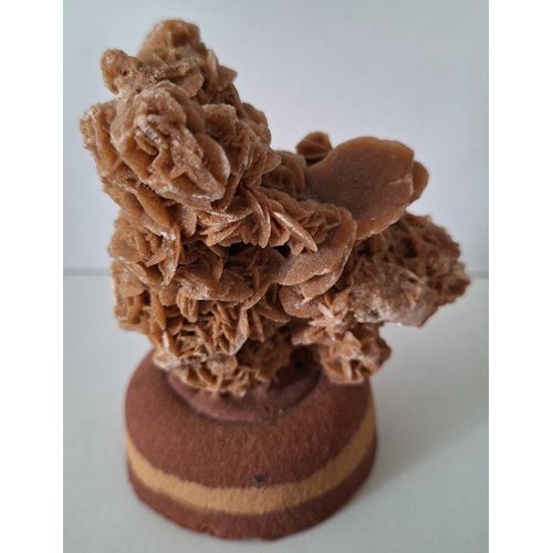 Rose des sables