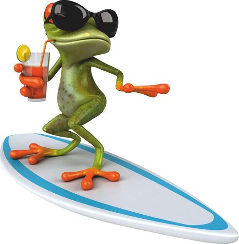 Sticker Surfer Frog I 10 X 10 Cm I Computer Suitcase Scooter Motorcycle Bathroom Shower Wall Car I Cool Time Resistant I Kfz_010