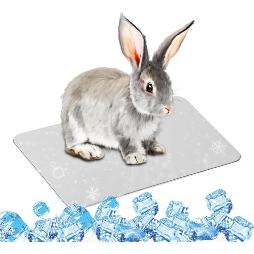 Kalanka-Coussin De Refroidissement, 30 * 20cm Lit De Glace D'été Rafraîchir, Plaque Refroidissement Aluminium Animaux, Pour Rafraîchir Animaux Compagnie Tels Que Cochons D'inde, Hamsters Et Lapins