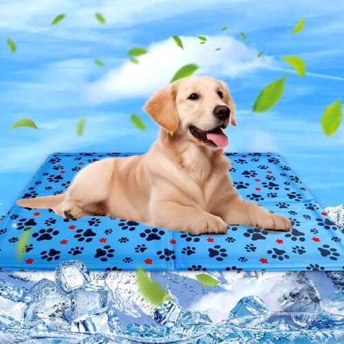 Tapis Rafraichissant Chien & Chat, 60x50cm Coussin Rafraichissant Pour Chien, Tapis Refrigerant Pour Animaux, Etanche Et Facile A Nettoyer, Convient Aux Petits Et Grands Chien De Compagnie