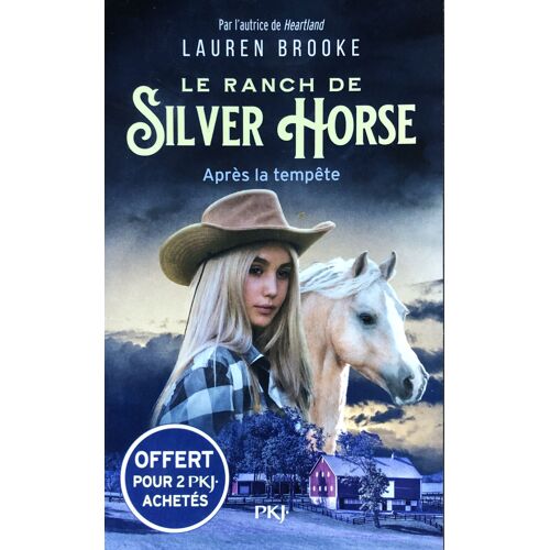 Le Ranch De Silver Horse