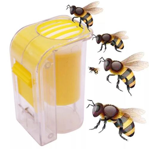 La Reine Des Abeilles Catcher/Cage, La Reine Des Abeilles Marqueur De Marquage De La Bouteille, L'apiculture Outils