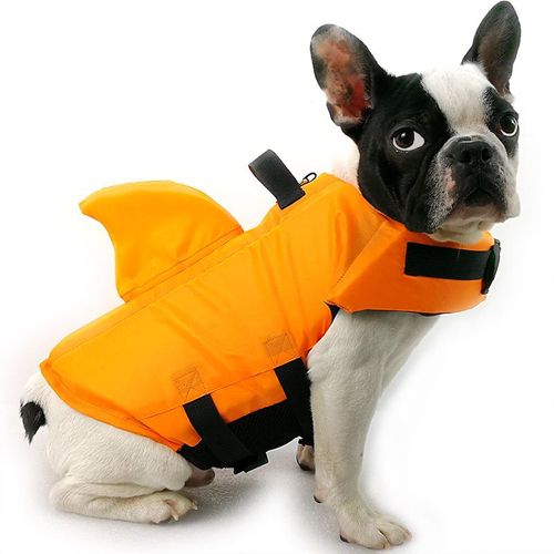 Gilet De Sauvetage D'été Pour Chien, Motif Requin, Orange (S)
