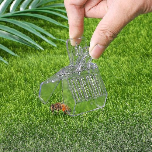 Abeille De La Reine Catcher En Plastique Reine Des Abeilles Cage Clips De L'apiculture Outils 5pcs