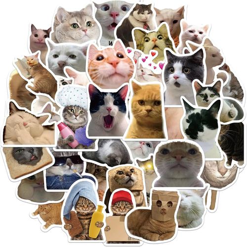 Lot De 50 Autocollants Amusants En Vinyle Motif Chat Pour Enfants, Adolescentes, Filles, Ordinateur Portable, Bouteille D'eau, Étui De Voyage, Téléphone, Scrapbooking, Guitare, Fête D'anniversaire