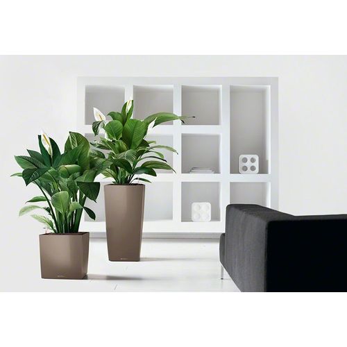 Cube Premium 40 - Kit Complet, Taupe Brillant 40 Cm