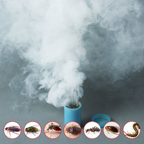 HJLIAN 4PCS Cafard tuant Cafard Poison Fumee Insecticides Aromatherapie Insecticide Fumee