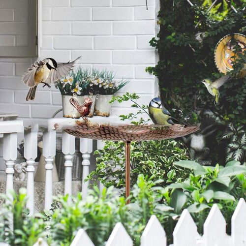 Mangeoire À Oiseaux En Métal Avec Piquet De Base, Bain Doiseaux Idéal