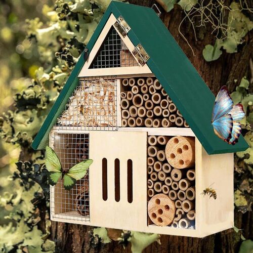 Abeille Dhôtel, Nid De Sciure De Bois, Résistant Aux Intempéries, Pour