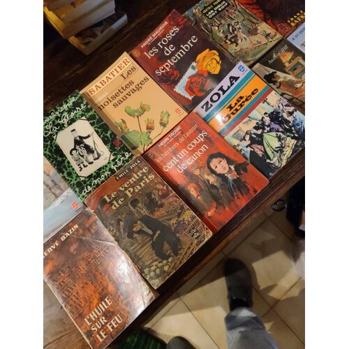 Lot De 12 Livres De Poche Littérature Classique