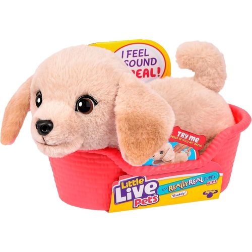 DDA-My Really Real Puppy Minis \u2013 Buddy Le Labrador, Chiot interactif avec + de 20 Sons et réactions, Inclut Un Panier pour Exposer Ton Chiot, Cadeau Amusant et Mignon pour Enfants, 11 cm