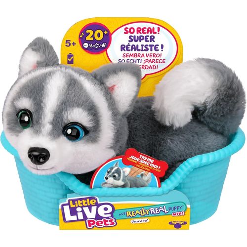 DDA-My Really Real Puppy Minis \u2013 Aurora la Husky, Chiot interactif avec + de 20 Sons et r¿¿actions, Inclut Un Panier pour Exposer Ton Chiot, Cadeau Amusant et Mignon pour Enfants, 11 cm