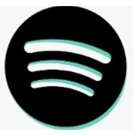Spotify 12 Mois Premium Sans Pub En Illimité