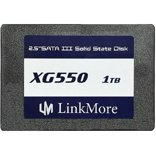 SUBZONAL-XG550 1 to 2,5'' SATA III (6 GB/s) SSD Interne, Disque SSD, Vitesse de Lecture jusqu'à 550 Mo/s, 2,5 Pouces pour Ordinateur Portable et PC de Bureau