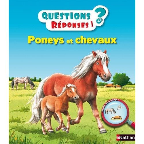 Poneys Et Chevaux