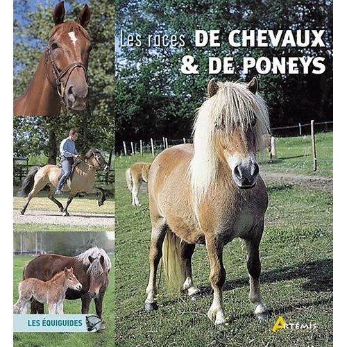 Les Races De Chevaux Et De Poneys
