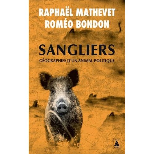 Sangliers - Géographies D'un Animal Politique