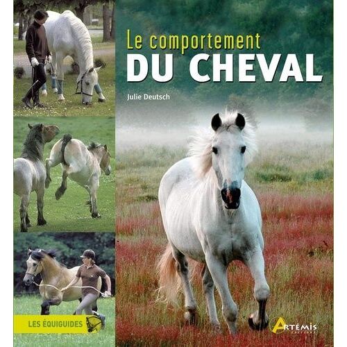 Le Comportement Du Cheval