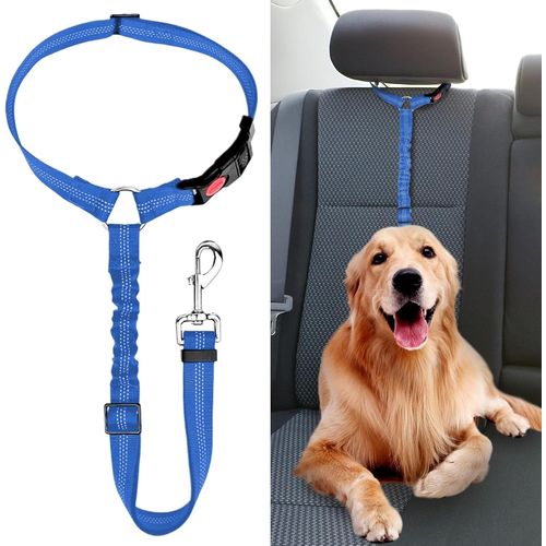 Jgd-Ceinture Chien Voiture, Universel Harnais Voiture Réglable Pour Chien & Chat Avec Absorption Des Chocs,Harnais Voiture Pour Chiens,Ceinture De Sécurité Pour Chien