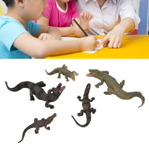 (Ensemble 5 Pièces Crocodiles)Ens emble De Modèles De Crocodiliens Détails