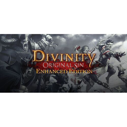 Divinity: Original Sin - Enhanced Edition