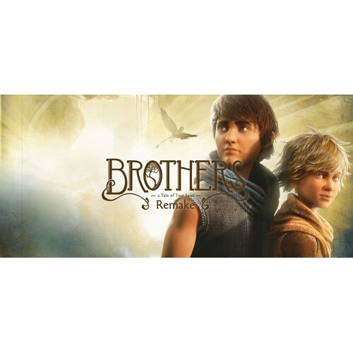 Brothers: A Tale Of Two Sons Remake