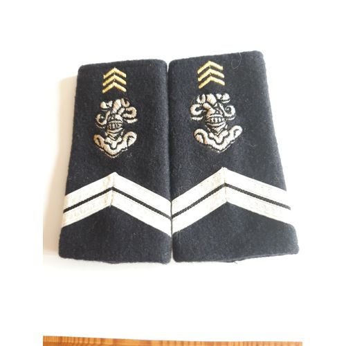 Fourreaux Neuf Grade Sergent 1 Er Régiment Chasseur D'Afrique