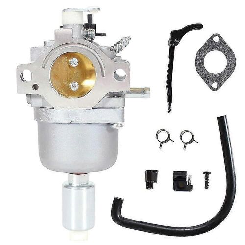 792036 Remplacement Du Carburateur Pour Nikki 795366 594601 695353 697216 698945