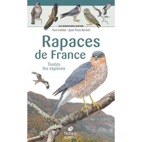 Rapaces De France - Toutes Les Espèces