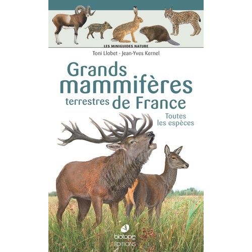 Grands Mammifères Terrestres De France - Toutes Les Espèces