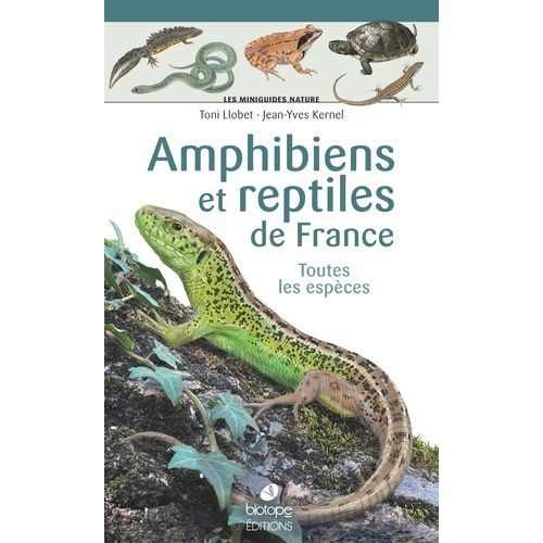 Amphibiens Et Reptiles De France - Toutes Les Espèces