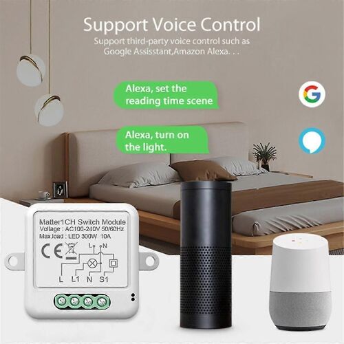 Module de relais domotique intelligent Matter WiFi 10A Tuya Smart Life fonctionne avec pour Alex